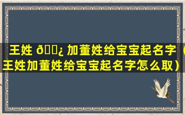 王姓 🌿 加董姓给宝宝起名字（王姓加董姓给宝宝起名字怎么取）